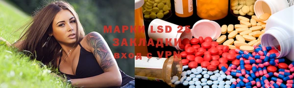 хмурый Зеленокумск