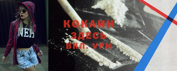 твердый Иннополис