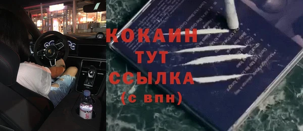 ПСИЛОЦИБИНОВЫЕ ГРИБЫ Инта