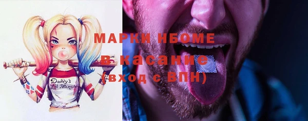 хмурый Зеленокумск