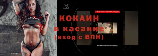 шишки Инсар
