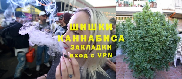 ПСИЛОЦИБИНОВЫЕ ГРИБЫ Инта