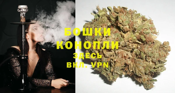 твердый Иннополис