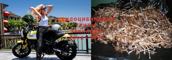 прущая мука Зерноград