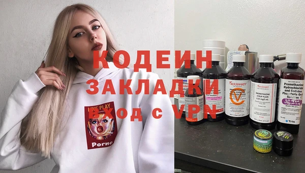 шишки Инсар