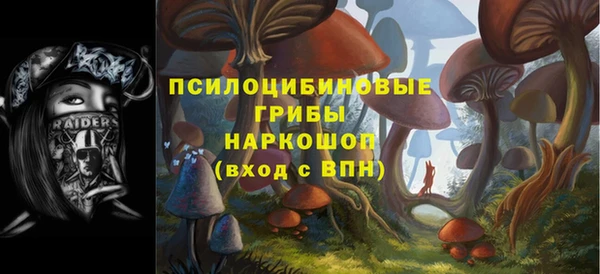 хмурый Зеленокумск