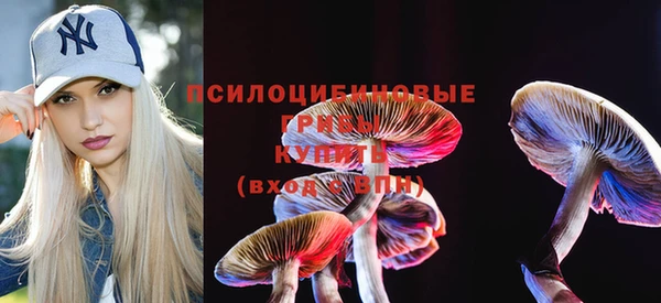 ПСИЛОЦИБИНОВЫЕ ГРИБЫ Инта