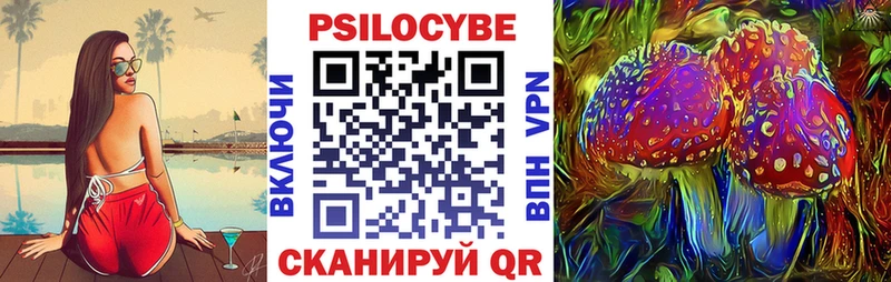 Купить где  Электрогорск  Галлюциногенные грибы Cubensis 