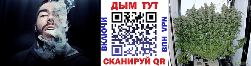 Купить  Электрогорск  Конопля индика 